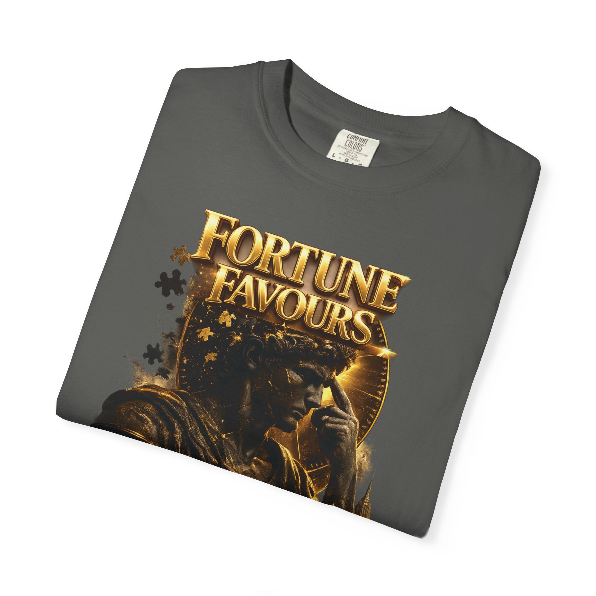 Fortune Favours Prepared Mind T-Shirt — Medieval Knight Graphic Tee Printify