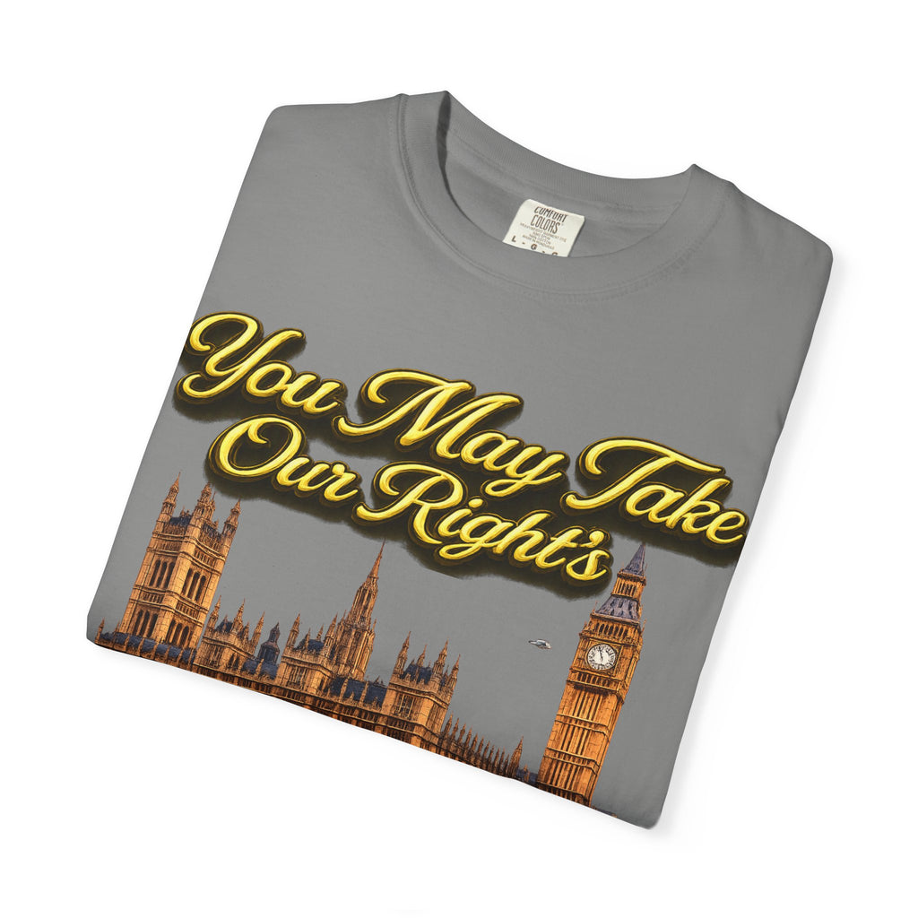 T-Shirt — "You May Take Our Rights But You'll Never Take Our Children" London Parliament Graphic Printify