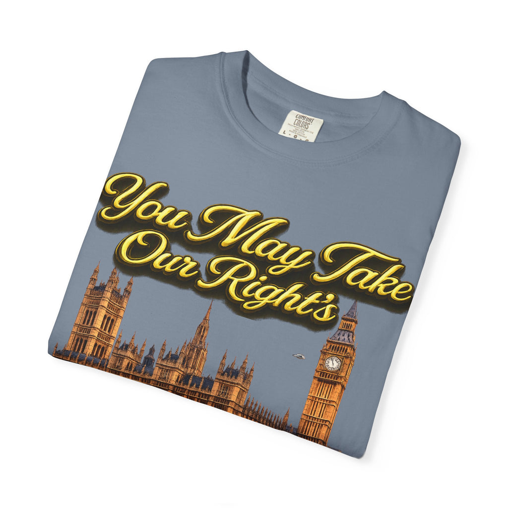 T-Shirt — "You May Take Our Rights But You'll Never Take Our Children" London Parliament Graphic Printify