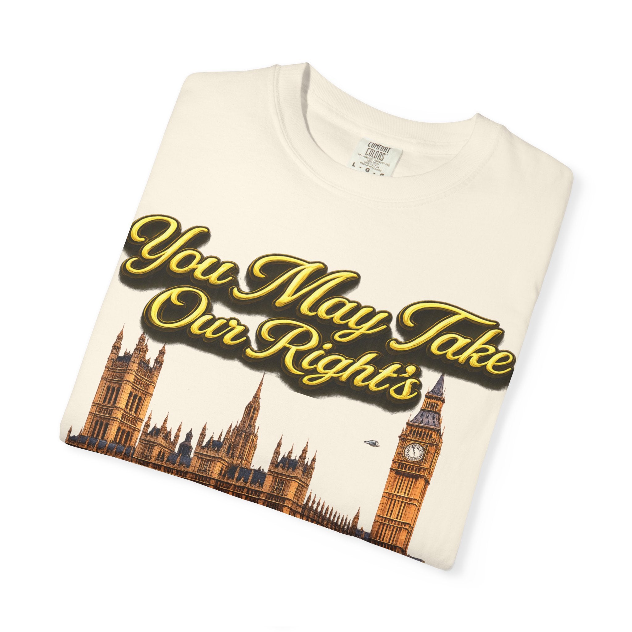 T-Shirt — "You May Take Our Rights But You'll Never Take Our Children" London Parliament Graphic Printify