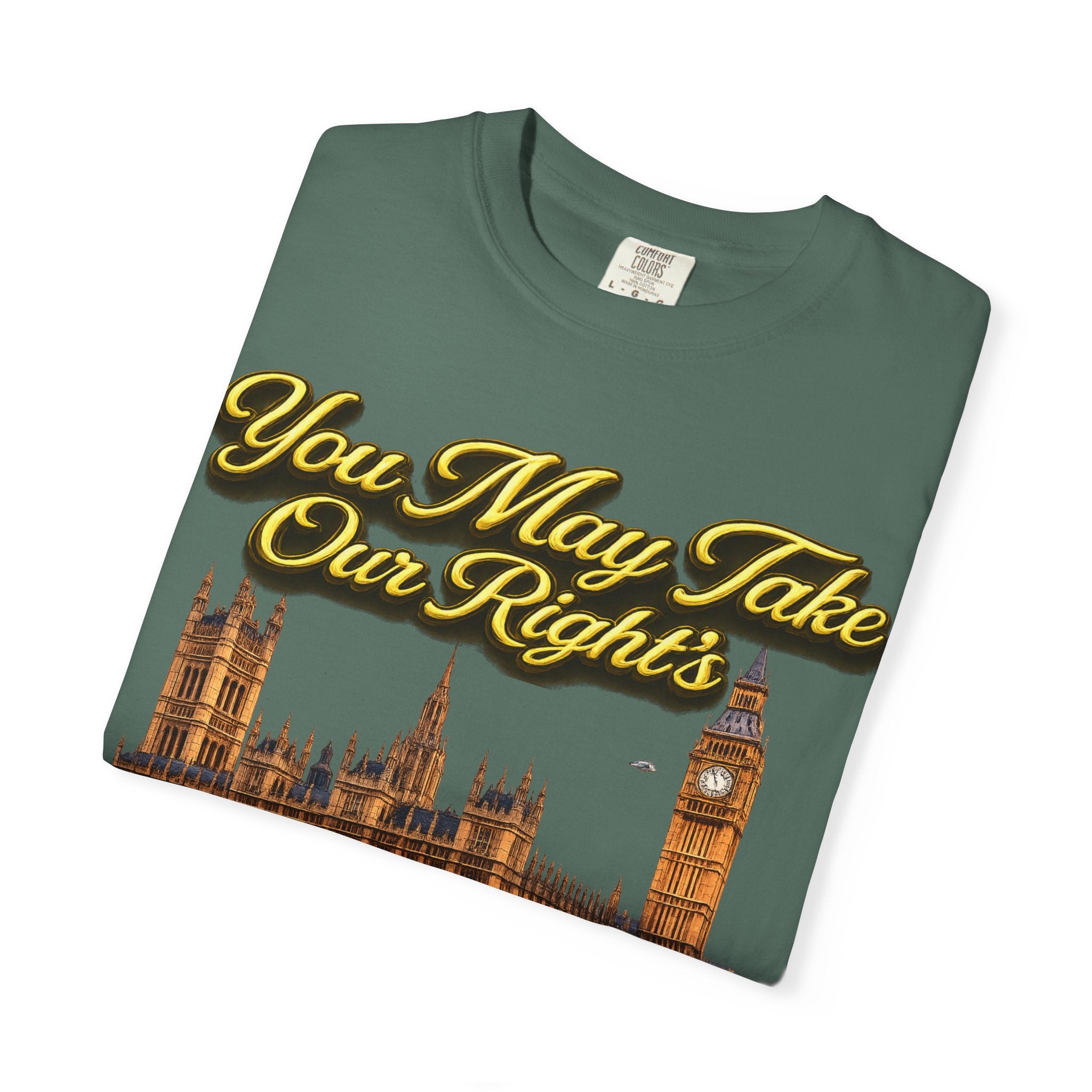 T-Shirt — "You May Take Our Rights But You'll Never Take Our Children" London Parliament Graphic Printify