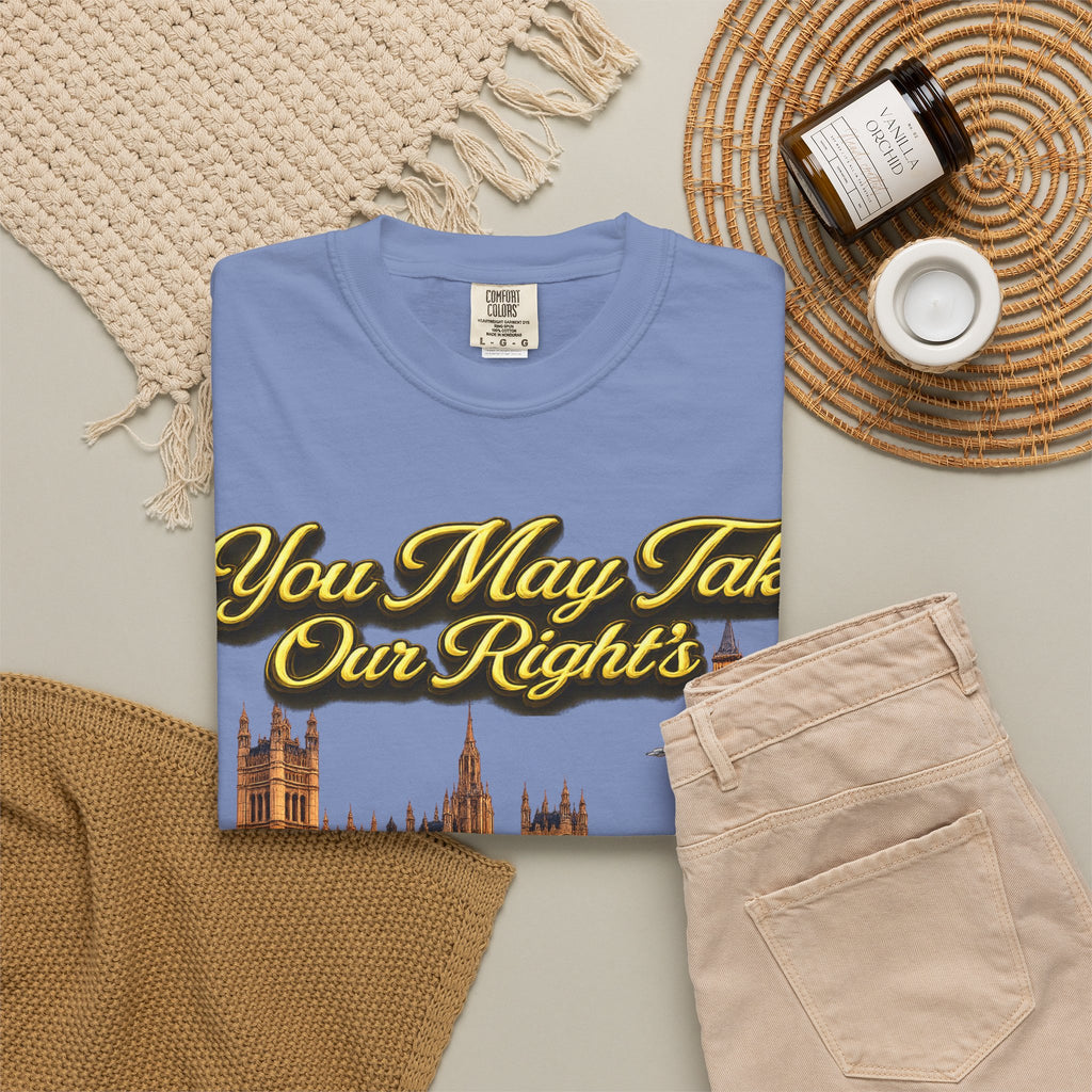 T-Shirt — "You May Take Our Rights But You'll Never Take Our Children" London Parliament Graphic Printify