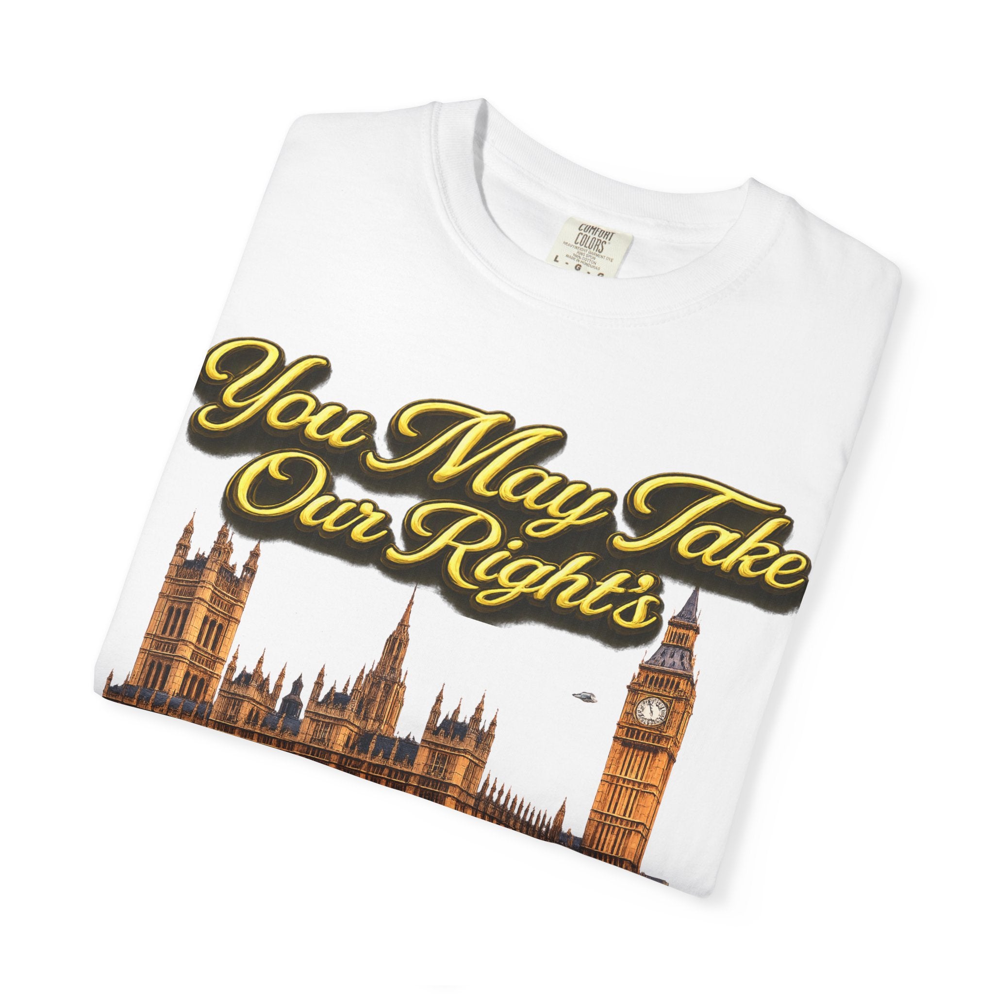 T-Shirt — "You May Take Our Rights But You'll Never Take Our Children" London Parliament Graphic Printify