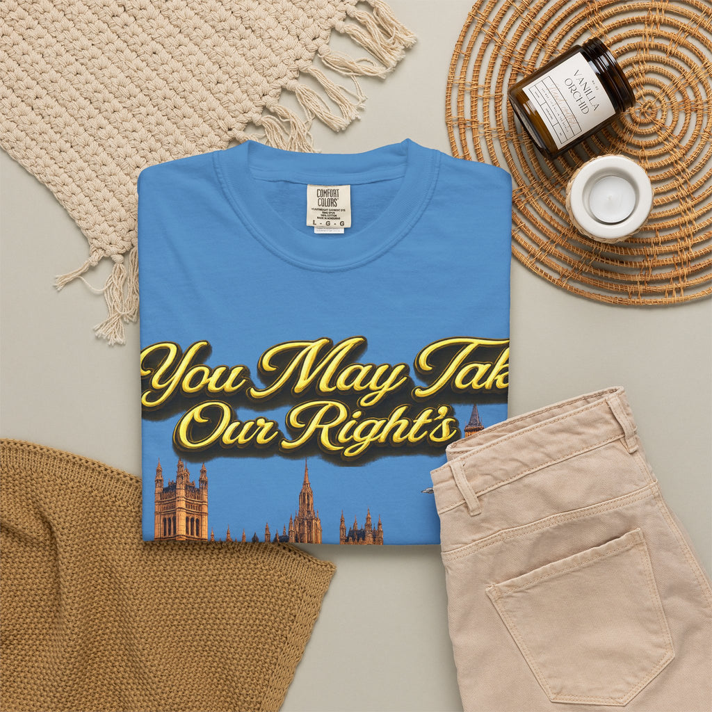 T-Shirt — "You May Take Our Rights But You'll Never Take Our Children" London Parliament Graphic Printify