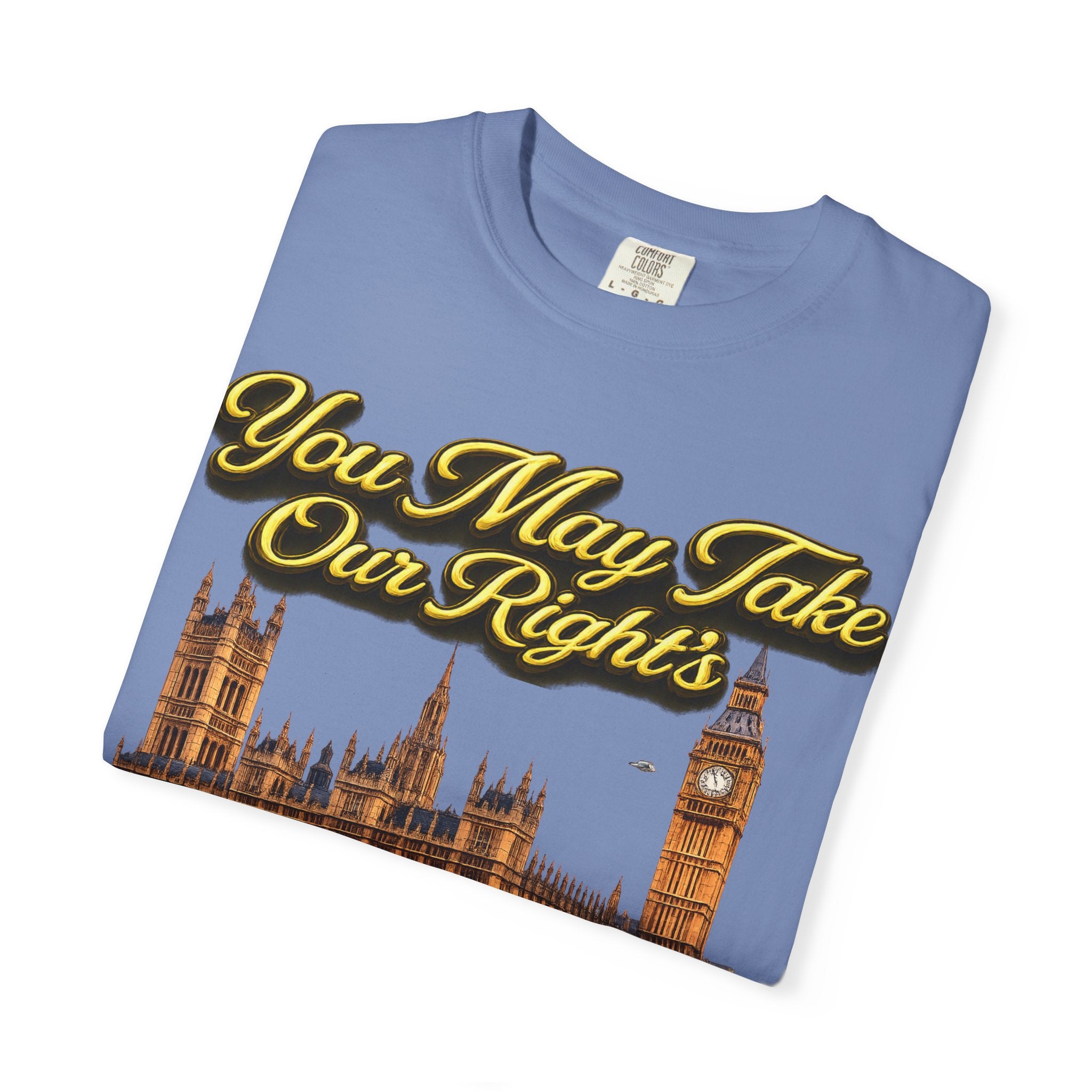 T-Shirt — "You May Take Our Rights But You'll Never Take Our Children" London Parliament Graphic Printify