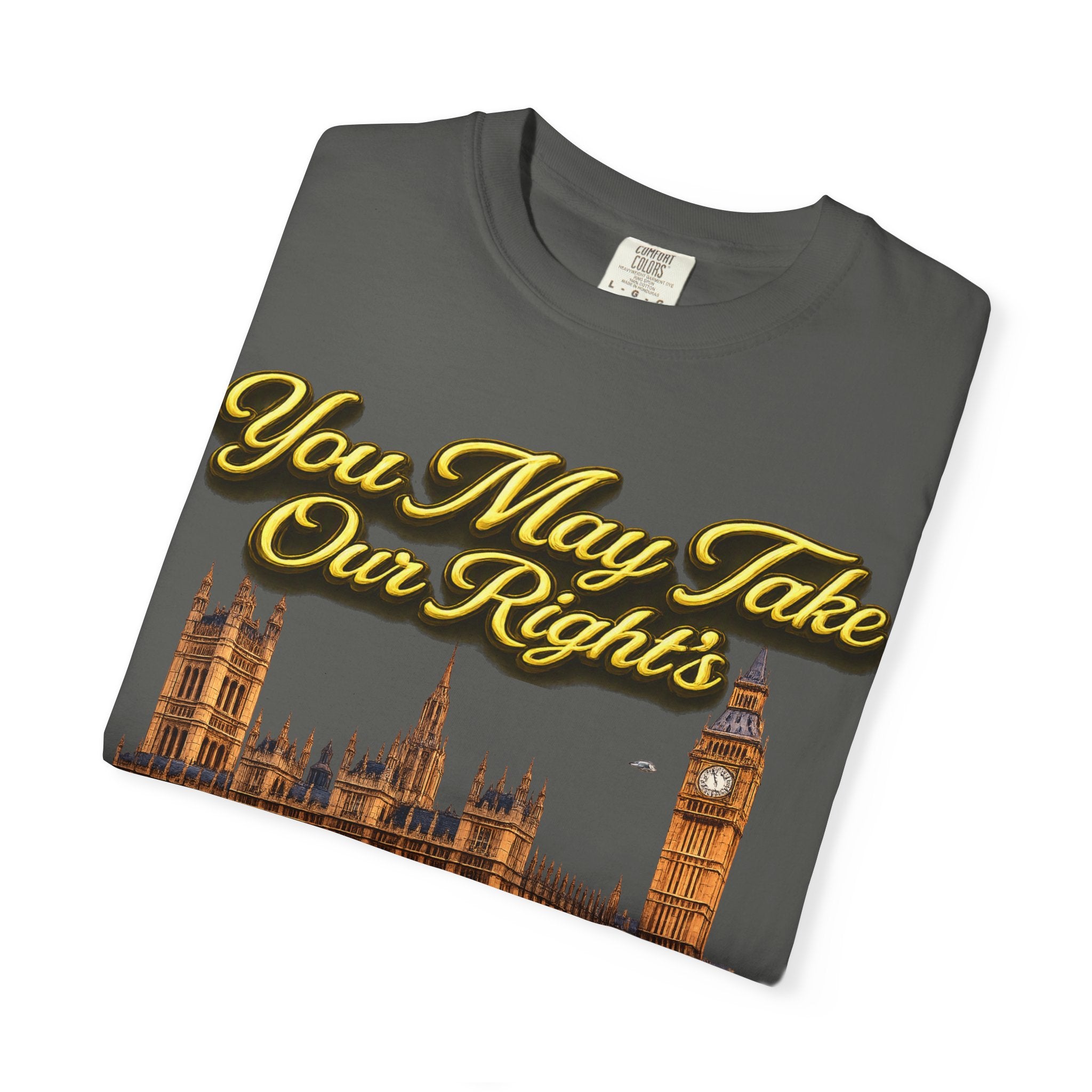 T-Shirt — "You May Take Our Rights But You'll Never Take Our Children" London Parliament Graphic Printify