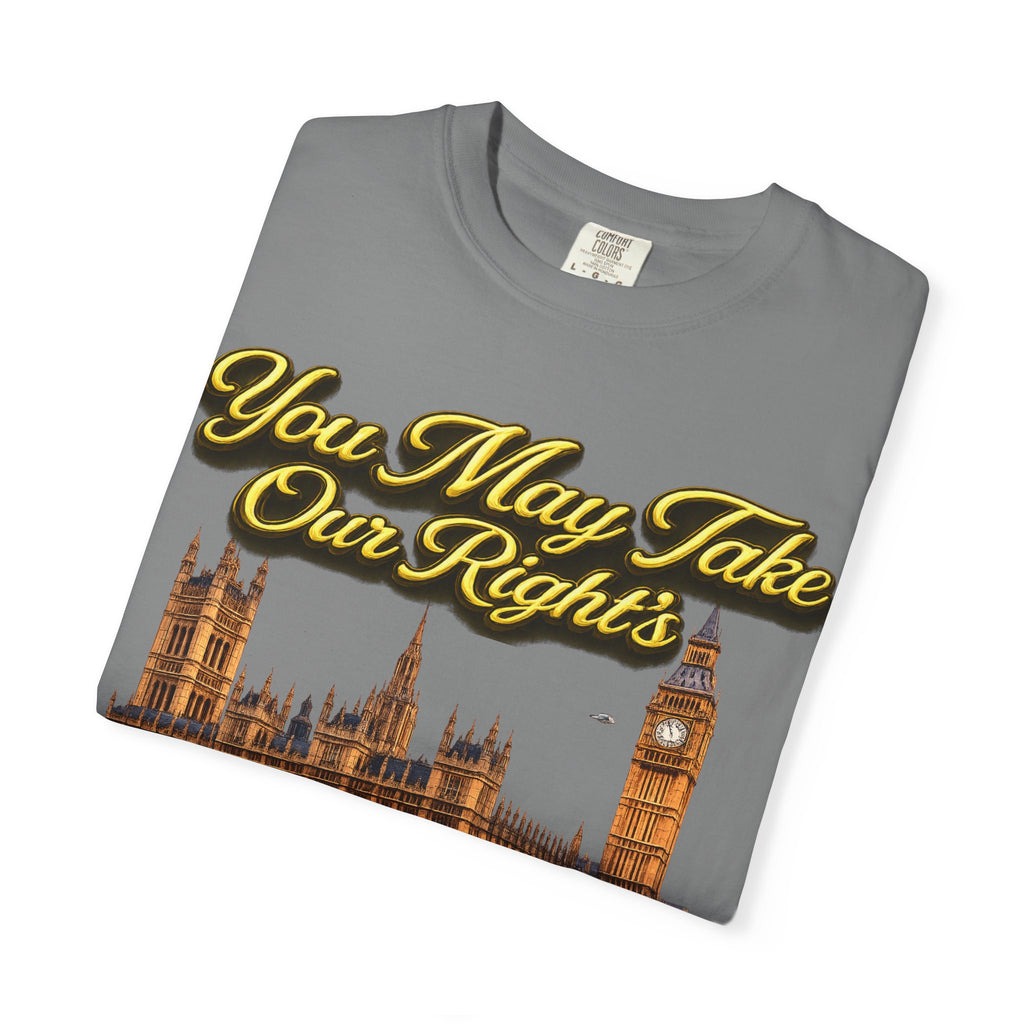 T-Shirt — "You May Take Our Rights But You'll Never Take Our Children" London Parliament Graphic Printify