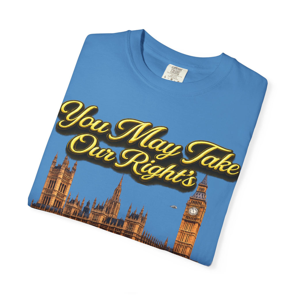 T-Shirt — "You May Take Our Rights But You'll Never Take Our Children" London Parliament Graphic Printify