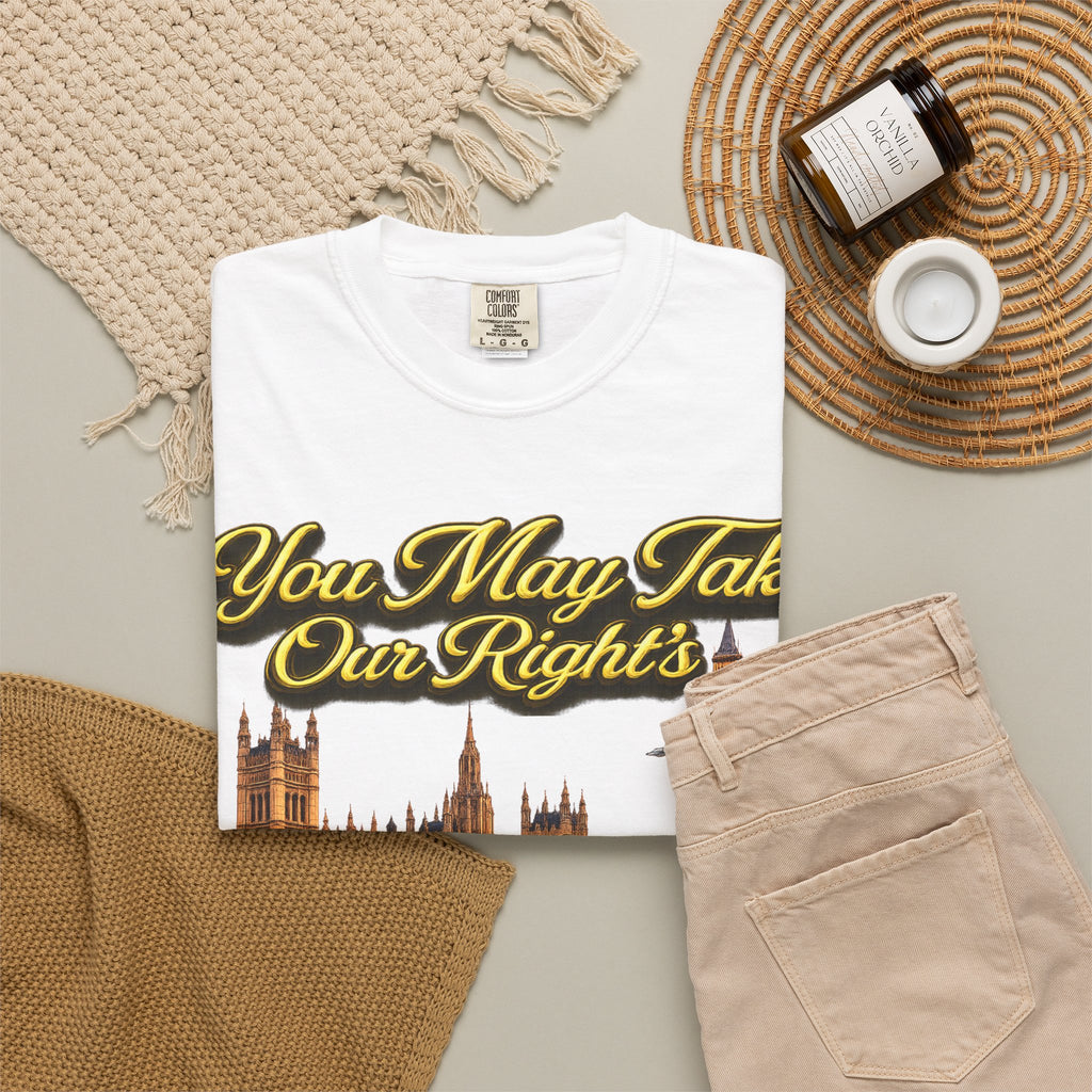 T-Shirt — "You May Take Our Rights But You'll Never Take Our Children" London Parliament Graphic Printify