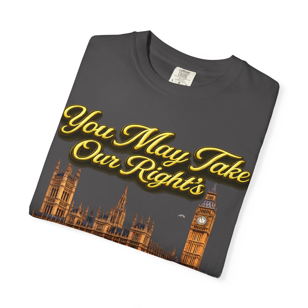 T-Shirt — "You May Take Our Rights But You'll Never Take Our Children" London Parliament Graphic Printify
