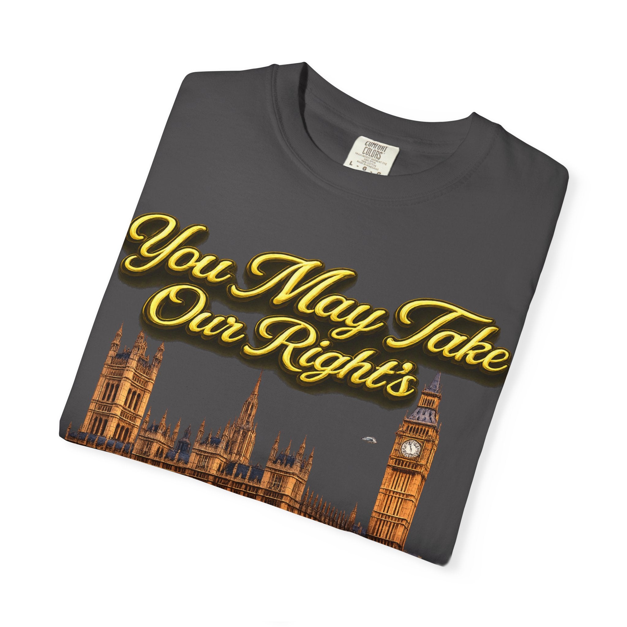 T-Shirt — "You May Take Our Rights But You'll Never Take Our Children" London Parliament Graphic Printify